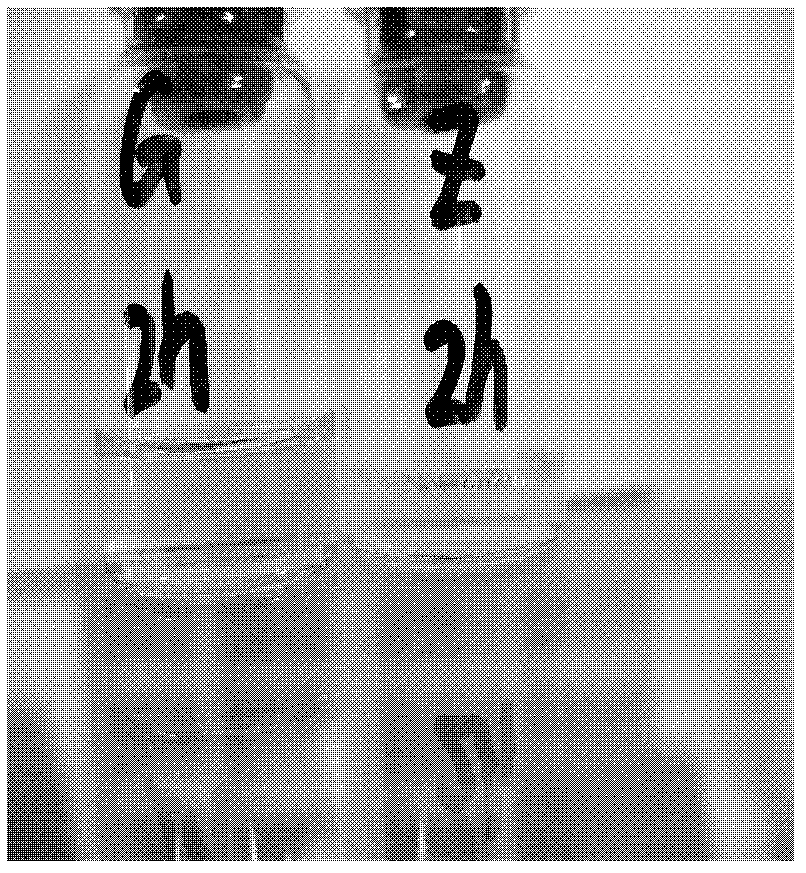 Veterinary disinfectant and preparation method thereof