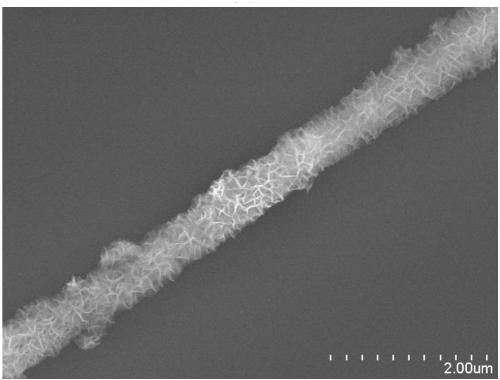 High-conductivity carbon material and preparation method thereof