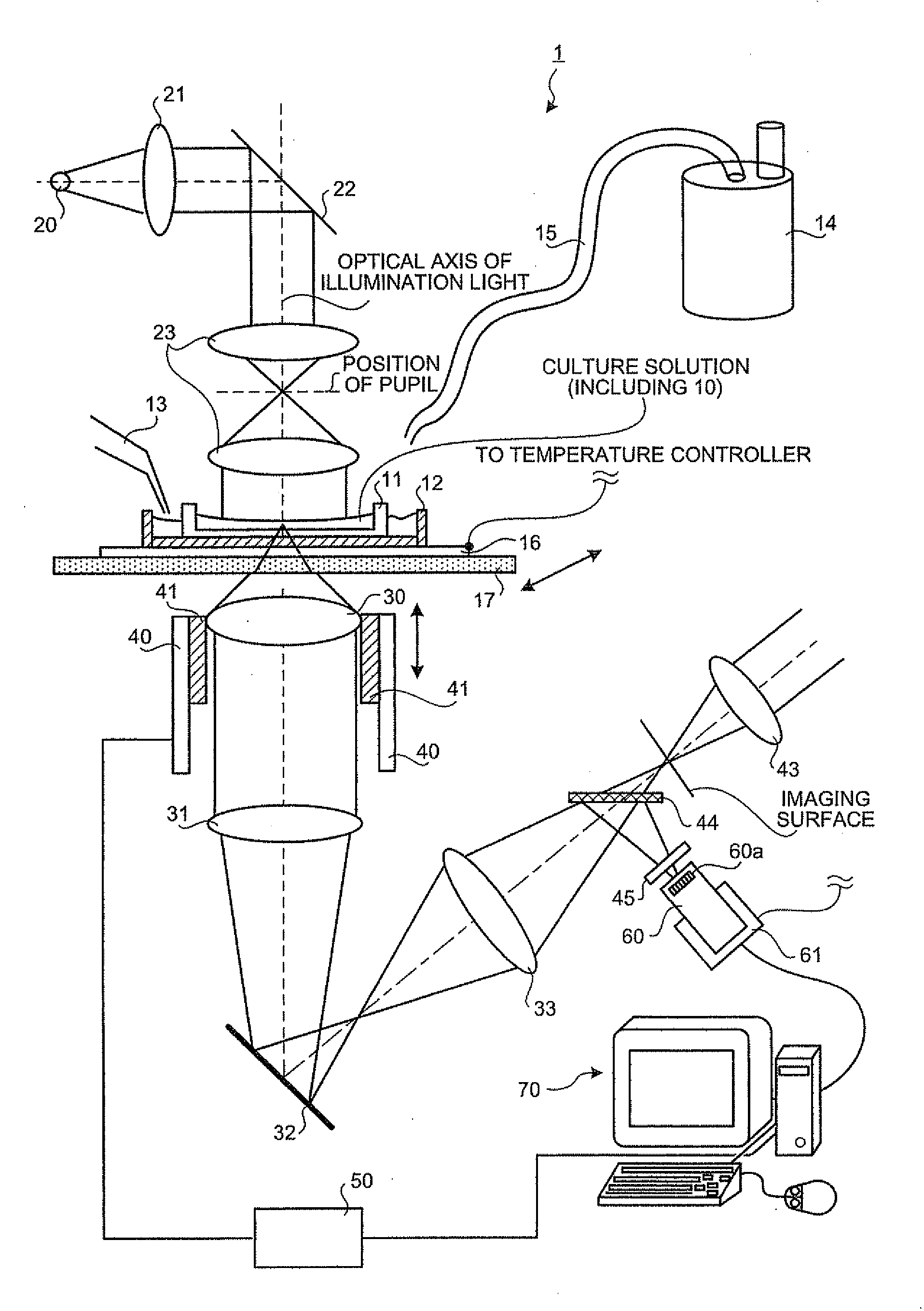 Focal position determining method, focal position determining apparatus, feeble light detecting apparatus and feeble light detecting method