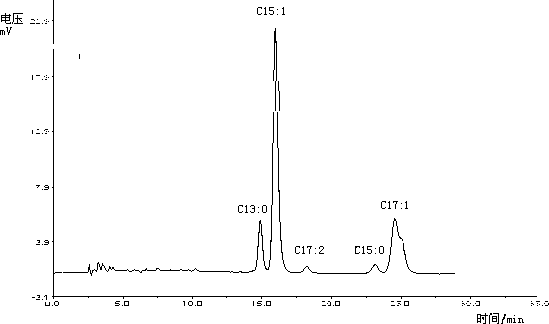 Application of ginkgolic acid in killing of blue-green algae