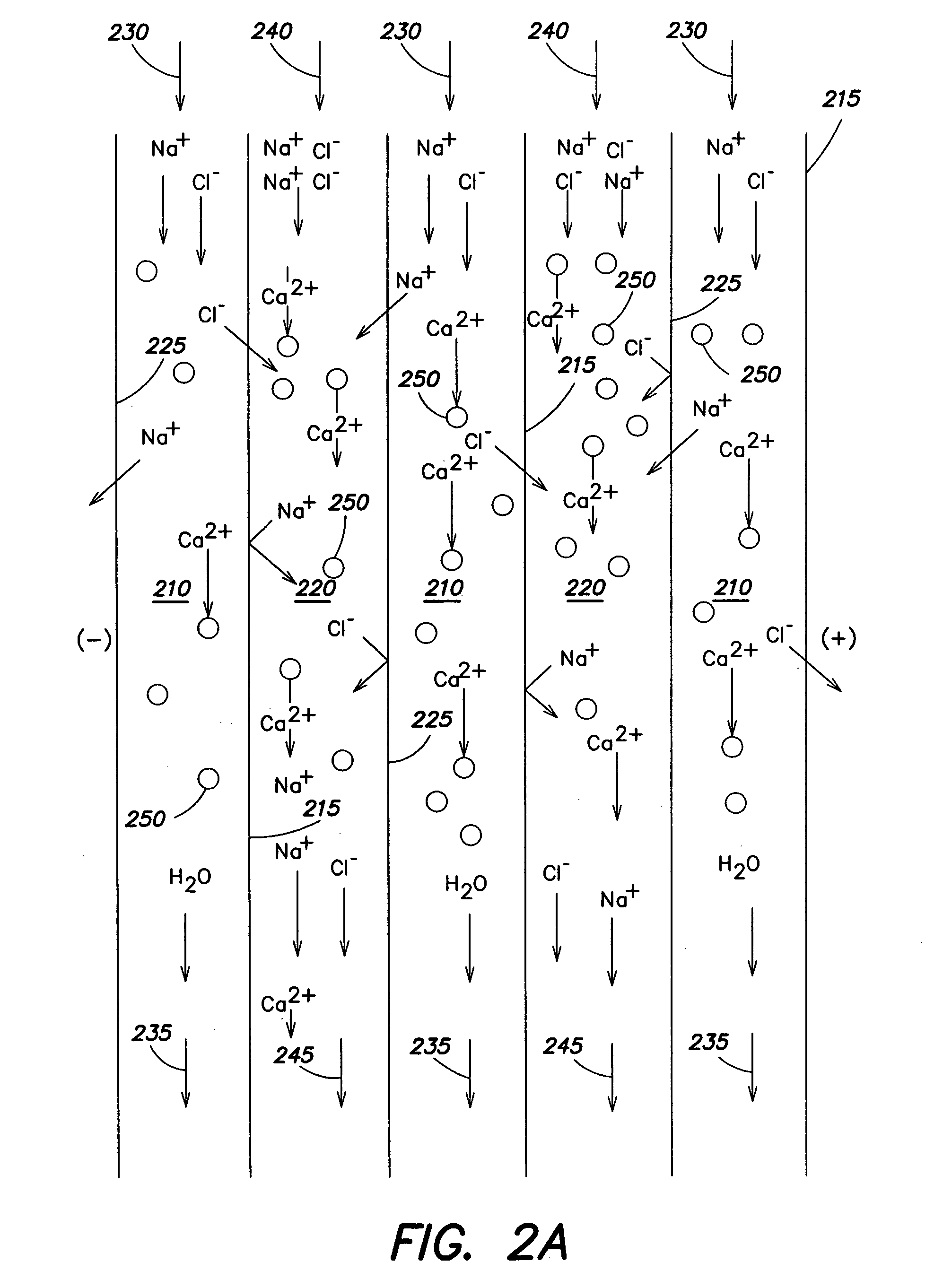 Regeneration of adsorption media within electrical purification apparatuses