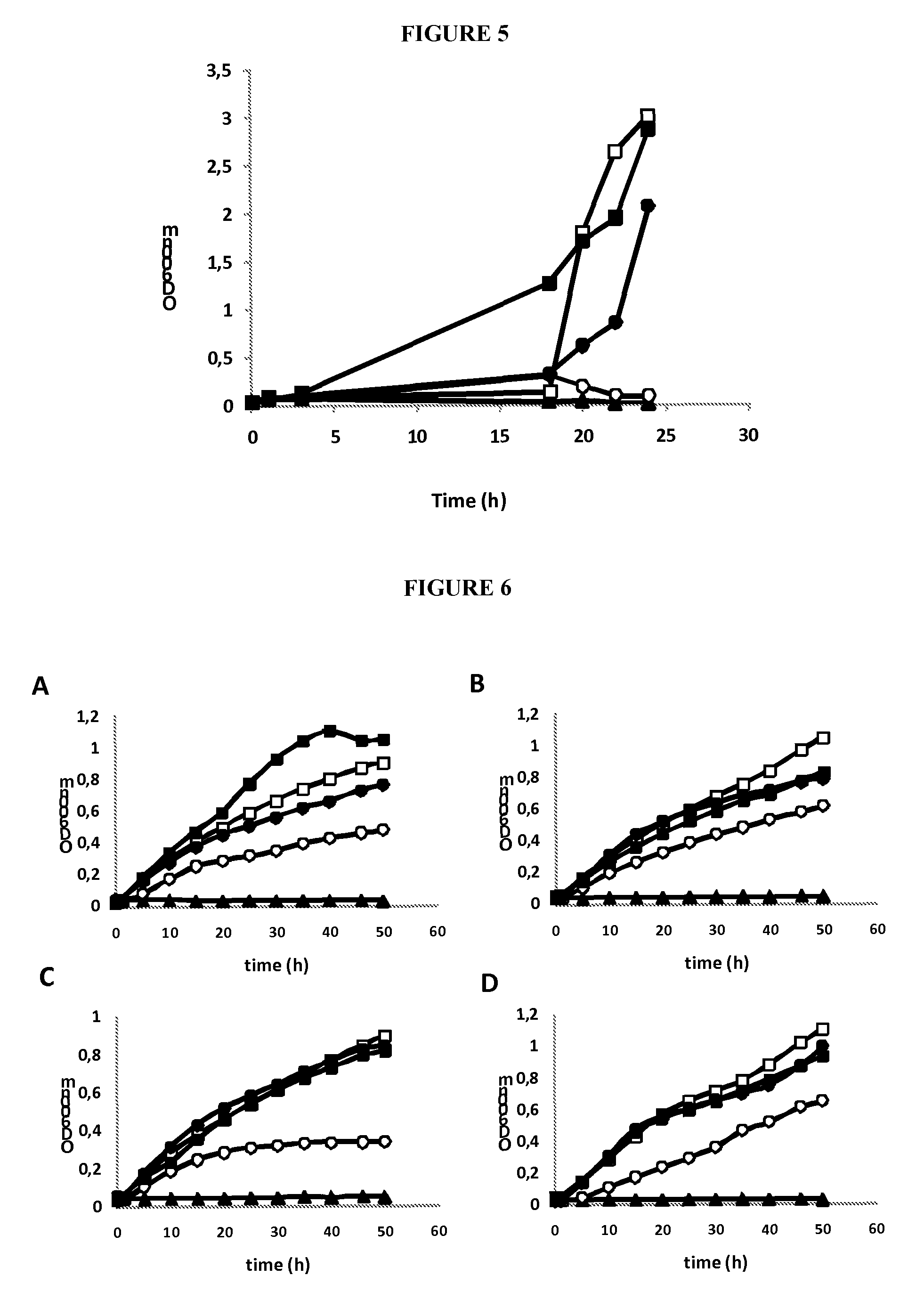 Use of bacteria for the production of bioenergy