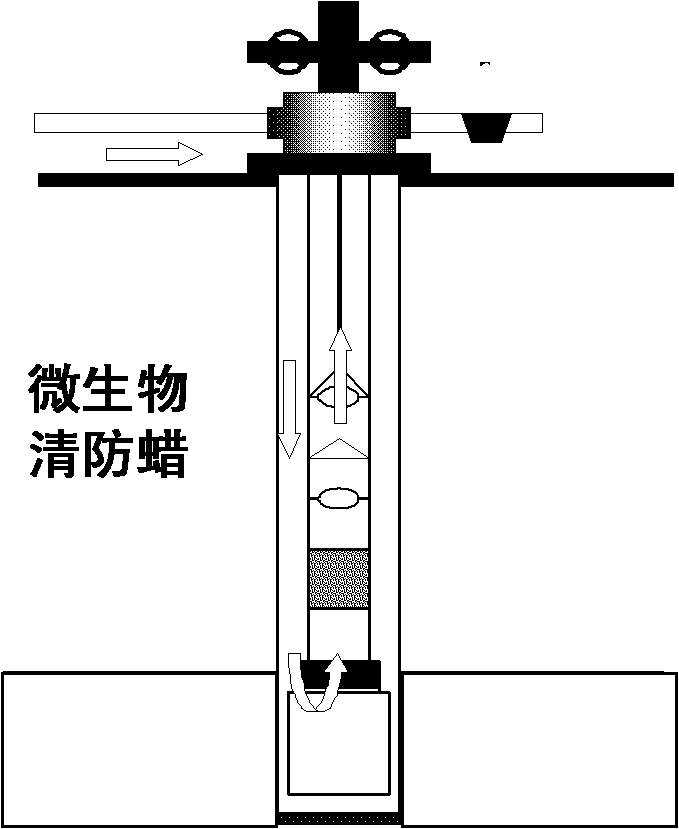 Novel microbial wax removal and control system and application thereof