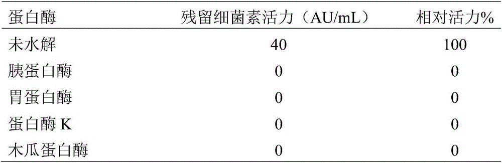 Lactobacillus curvatus for producing bacteriocin, and application thereof