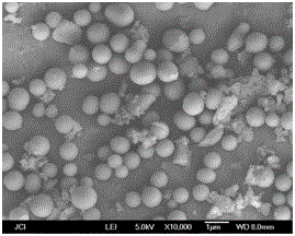 Method for preparing carbon microspheres through hydrothermal carbonization of biomass