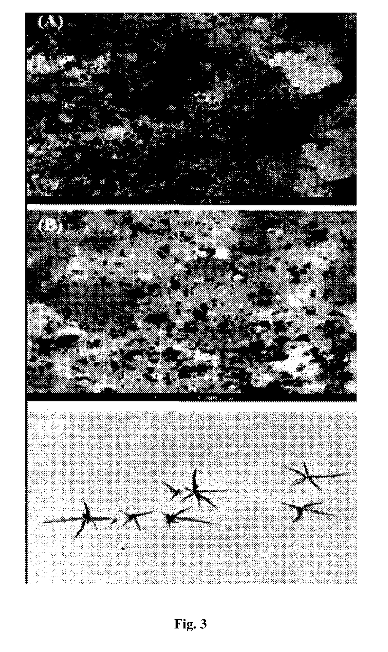 A nanobiocomposite formulation for wound healing and a process for the preparation thereof