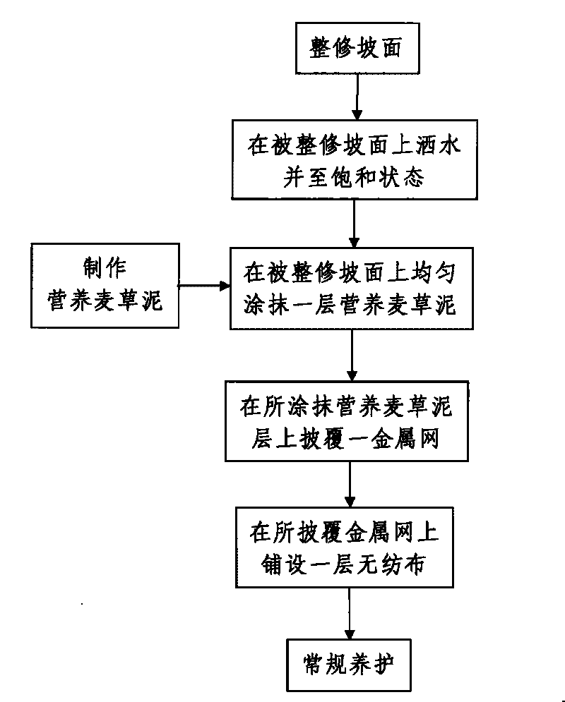 Loess slope heavy layer flaking diseases treatment method