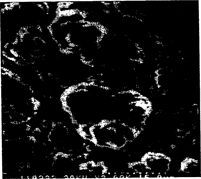 Method for preparing rare earth alloy through sweeping electric potential sedimentation