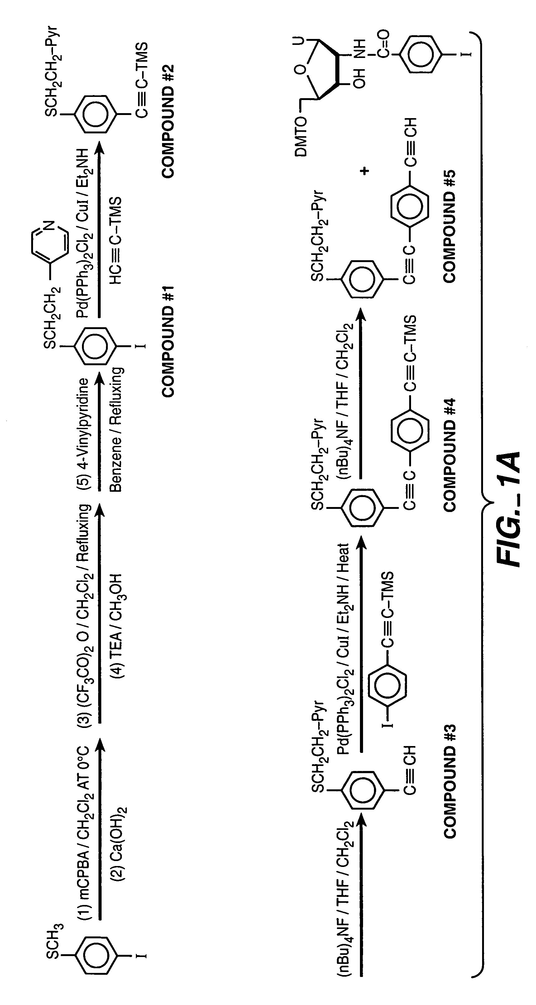 Electronic transfer moieties attached to peptide nucleic acids