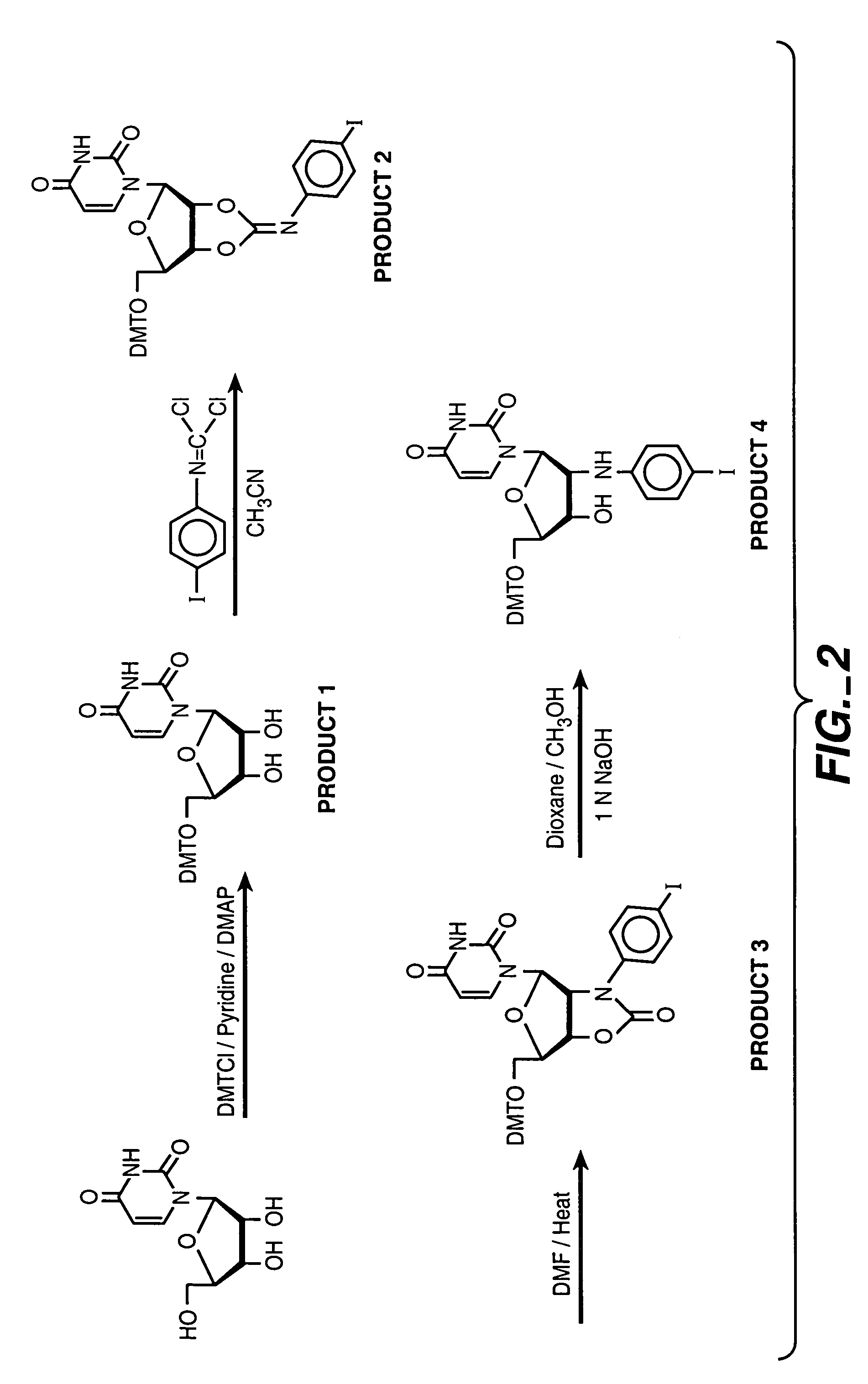 Electronic transfer moieties attached to peptide nucleic acids