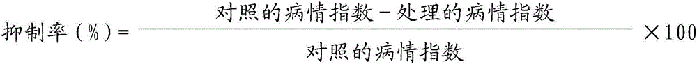 Pesticide composition and application thereof