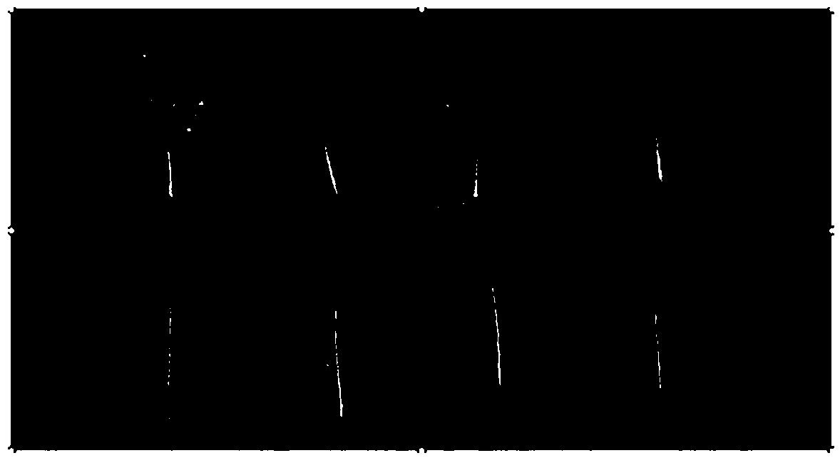 Method for identifying resistance of tobacco to meloidogyne incognita