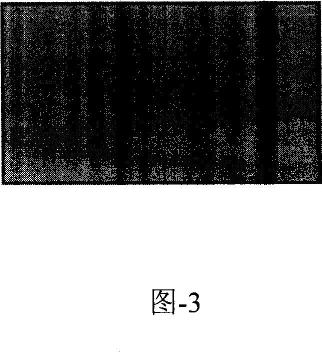 Diffraction spectrum detecting system