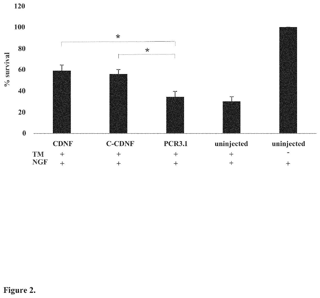 C-terminal CDNF and MANF fragments, pharmaceutical compositions comprising same and uses thereof