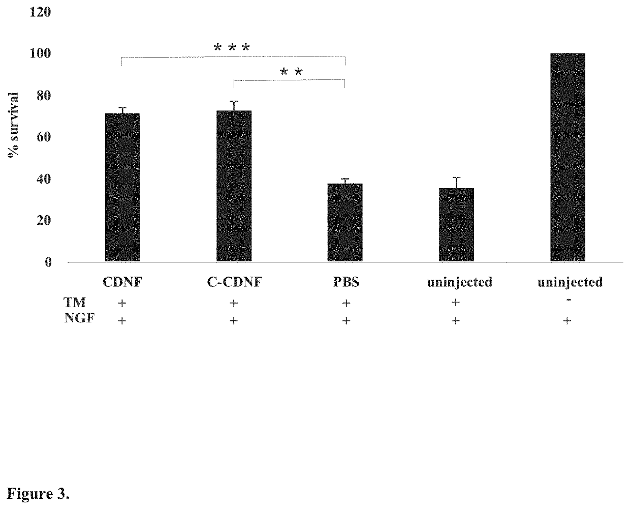 C-terminal CDNF and MANF fragments, pharmaceutical compositions comprising same and uses thereof