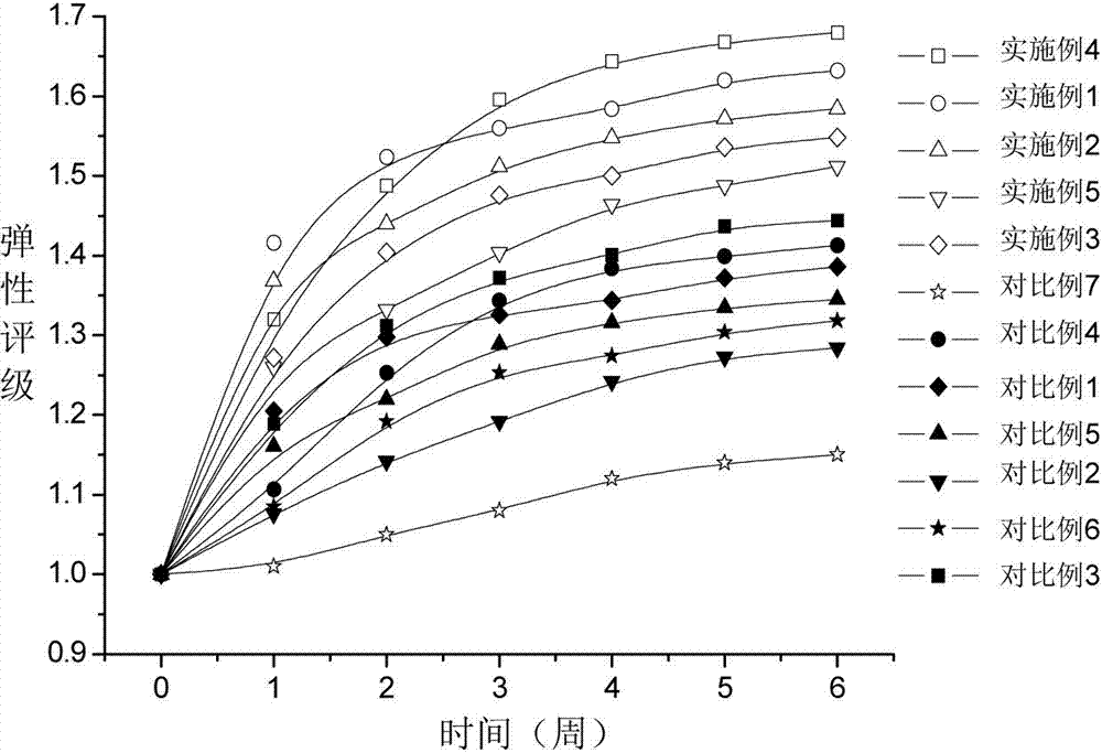 Anti-ageing skincare product and preparation method thereof