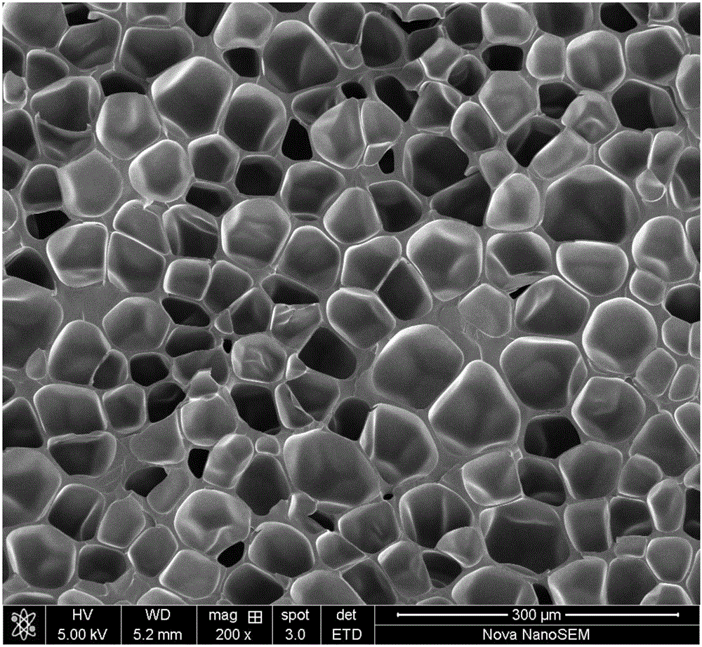 High-magnification thermoplastic polyurethane microporous foamed plate and production method thereof