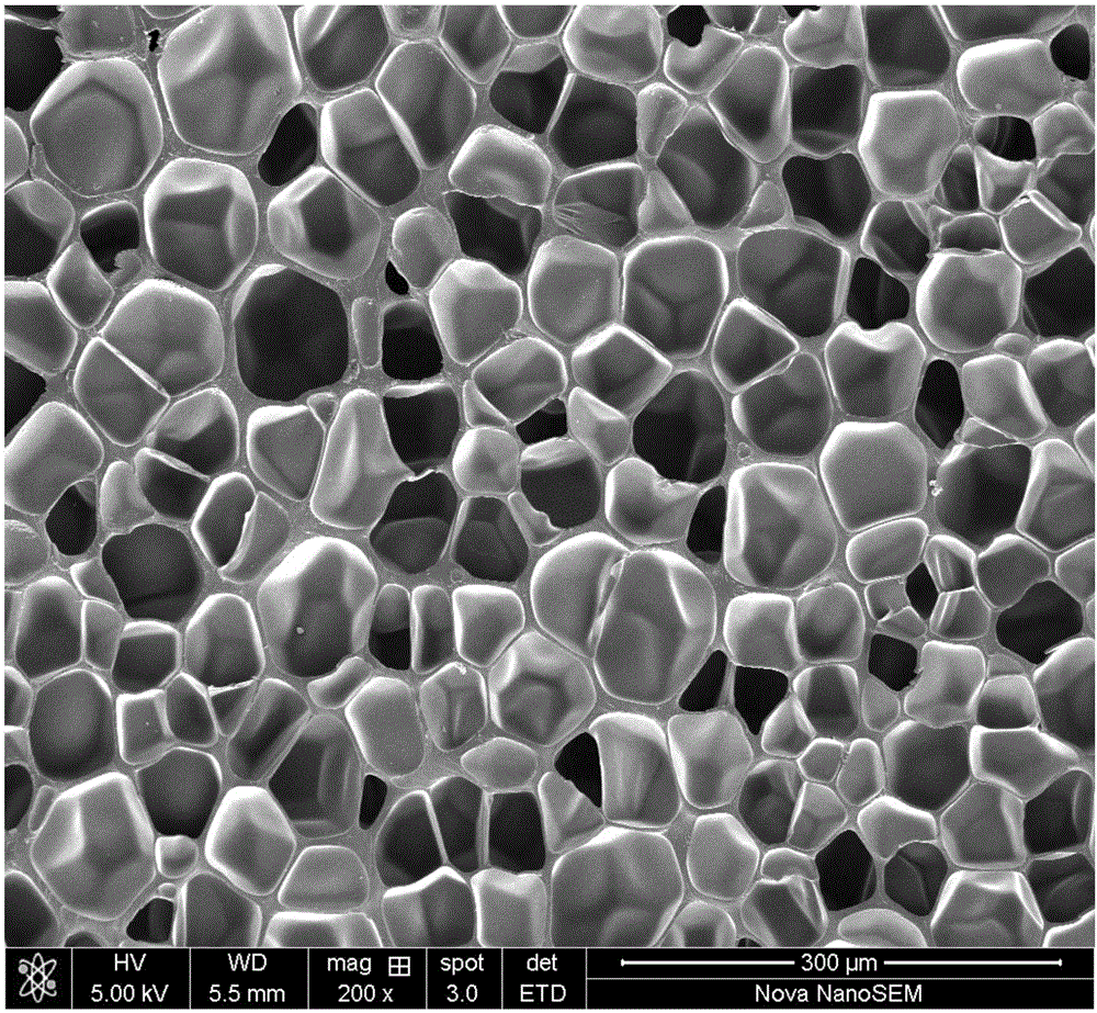 High-magnification thermoplastic polyurethane microporous foamed plate and production method thereof