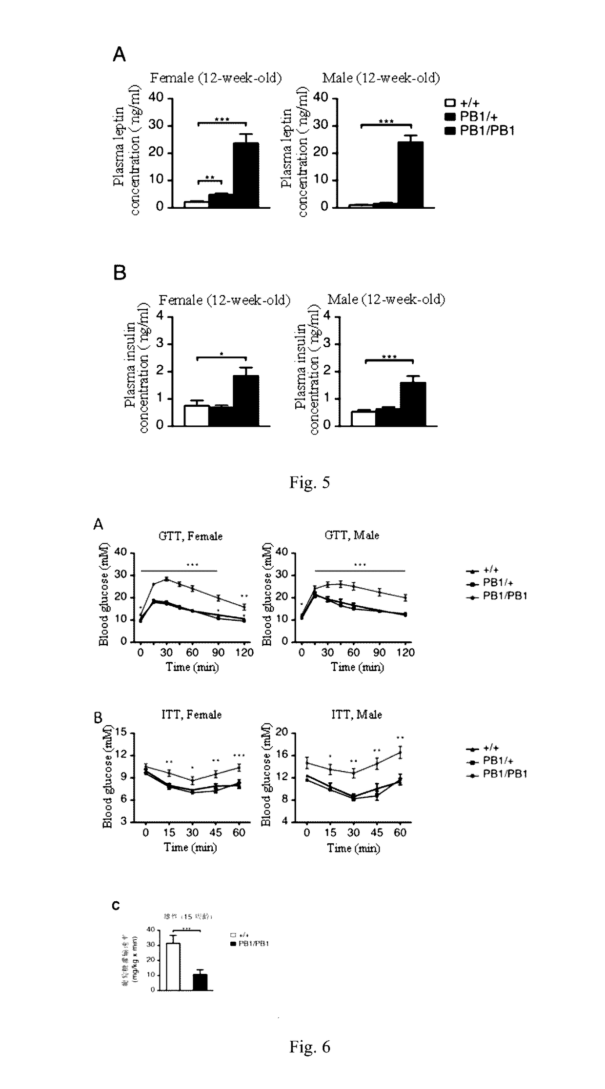 Application of gpr45 gene