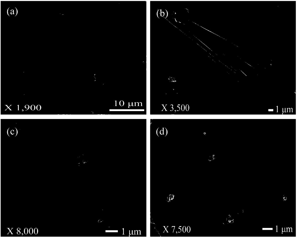 Regular rod-shaped porous Er/Eu-ZnO composite material and preparation method thereof