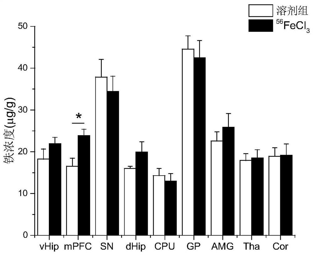 Application of drugs that increase iron transport from the ventral hippocampus to the medial prefrontal cortex in the preparation of drugs for the treatment of neuropsychiatric diseases