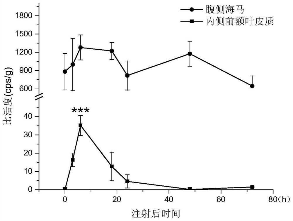 Application of drugs that increase iron transport from the ventral hippocampus to the medial prefrontal cortex in the preparation of drugs for the treatment of neuropsychiatric diseases