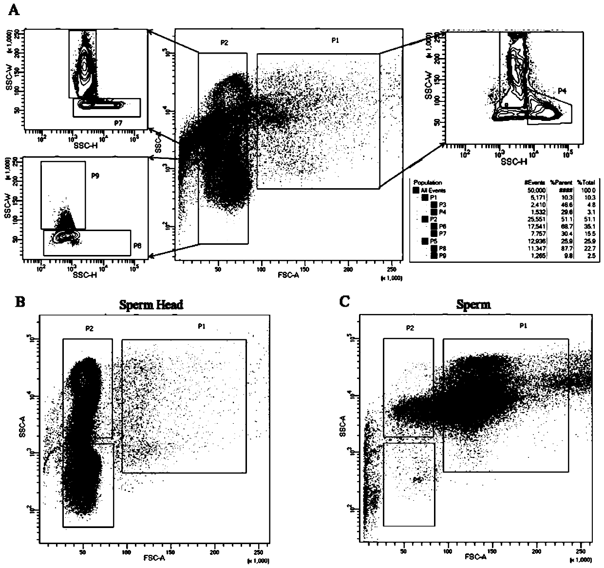 Method for rapidly separating sperm head, sperm tail and normal motile sperm