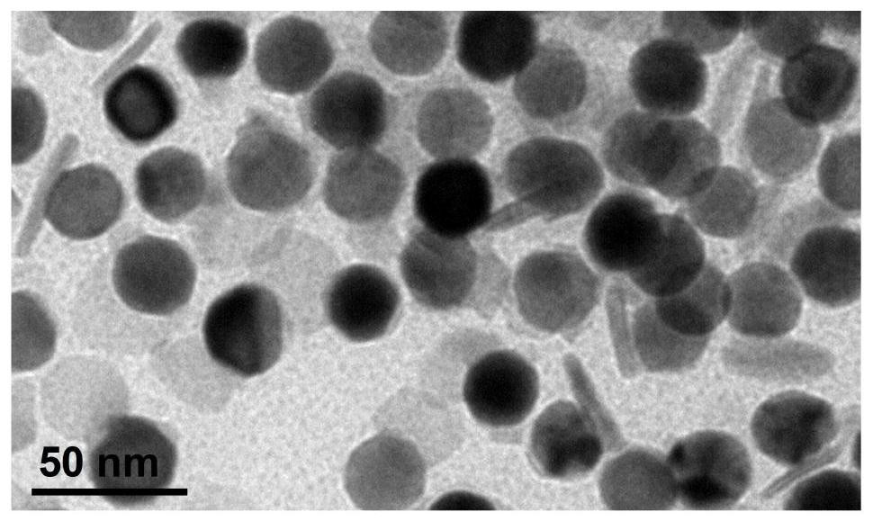 A kind of au/cuse tangential heterogeneous nanomaterial and its preparation method