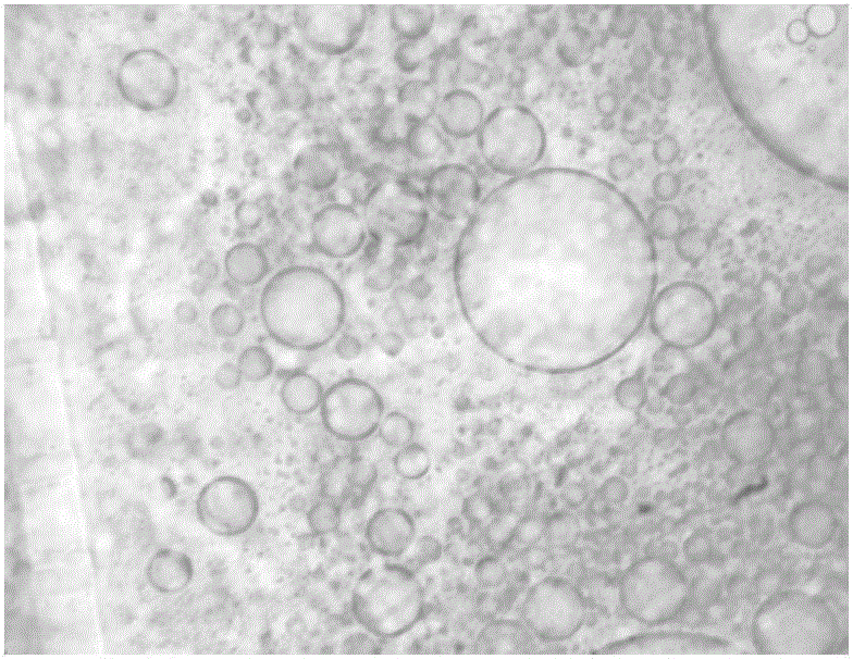 Oil phase composition for preparing droplet digital PCR liquid drops