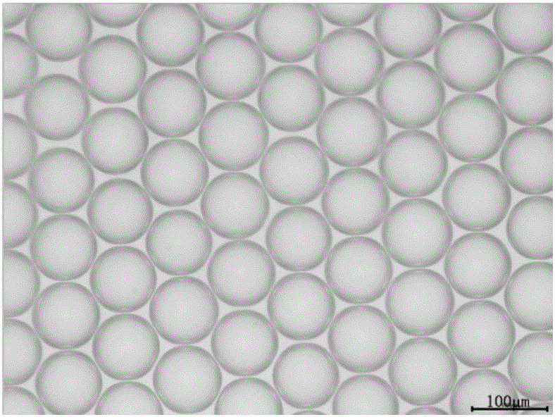 Oil phase composition for preparing droplet digital PCR liquid drops