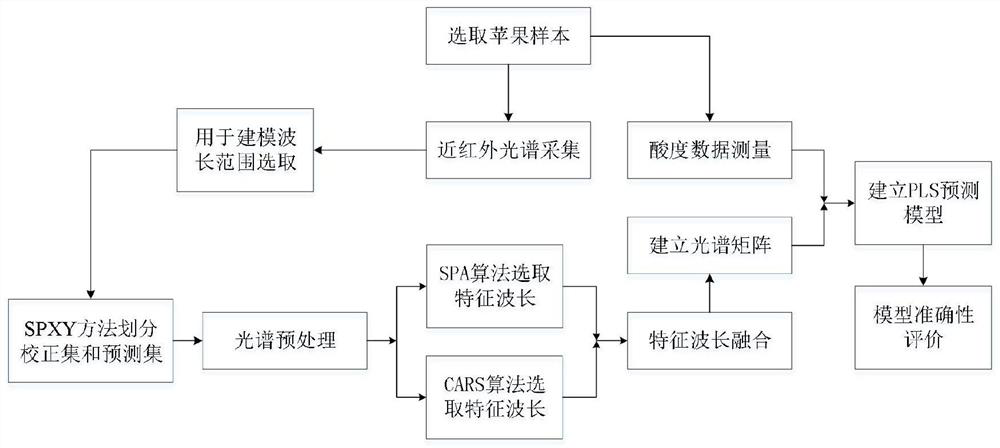 Apple acidity near-infrared nondestructive testing method based on fusion characteristic wavelength selection algorithm