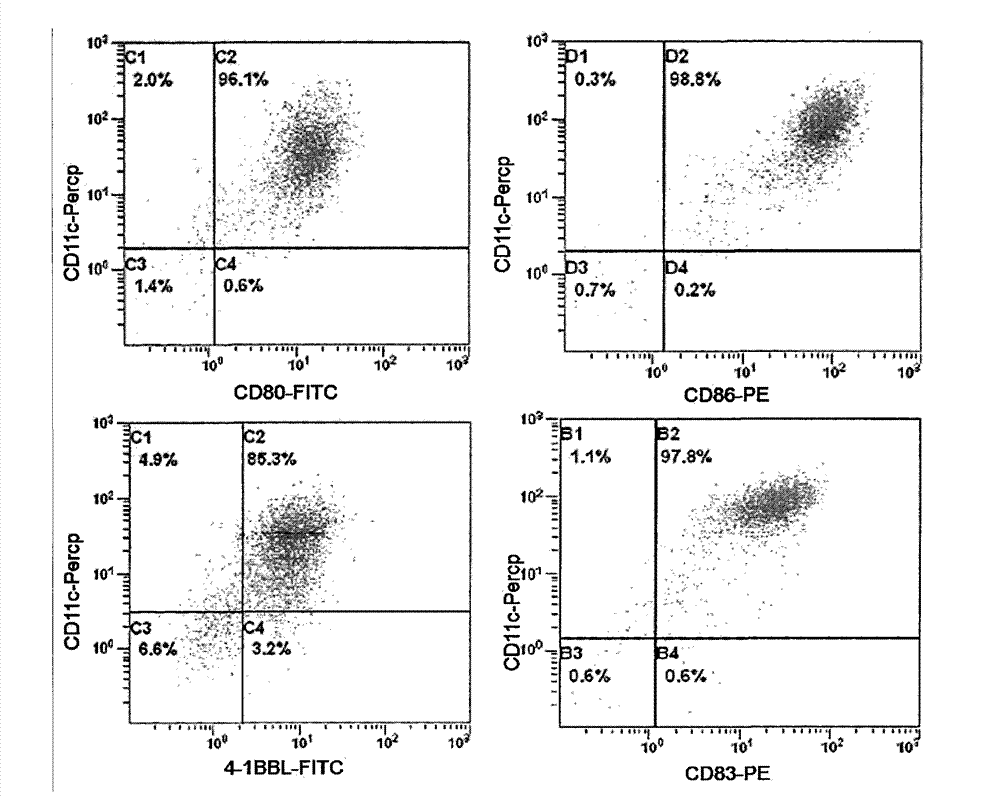 Method and kit for preparing dendritic cells