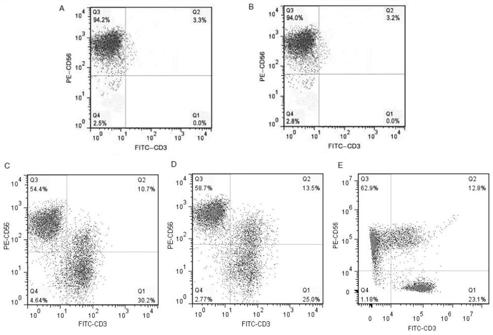 Human NK cell culture system and preparation method thereof