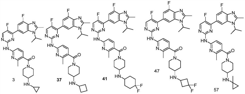 Benzimidazole compound kinase inhibitor and preparation method and application thereof