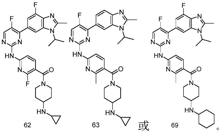 Benzimidazole compound kinase inhibitor and preparation method and application thereof