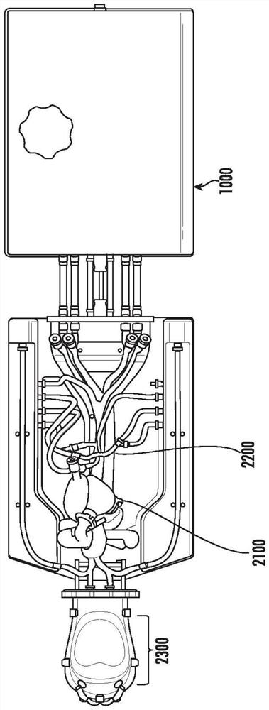 Cardiac simulation device