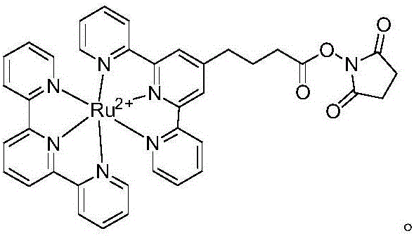 Electrochemical luminescence mark liquid