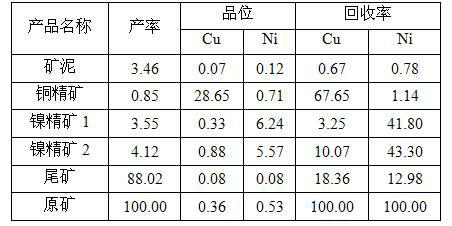 Benefication method for copper nickel