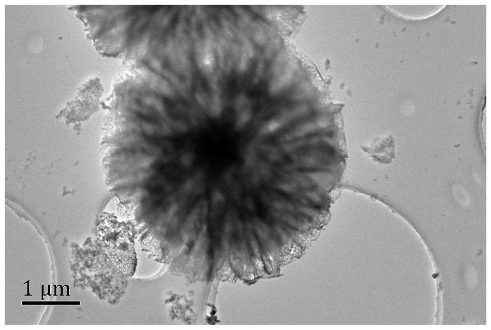 Alkaline solution hydrogen evolution electrocatalyst NiVRu ternary alloy as well as preparation method and application thereof