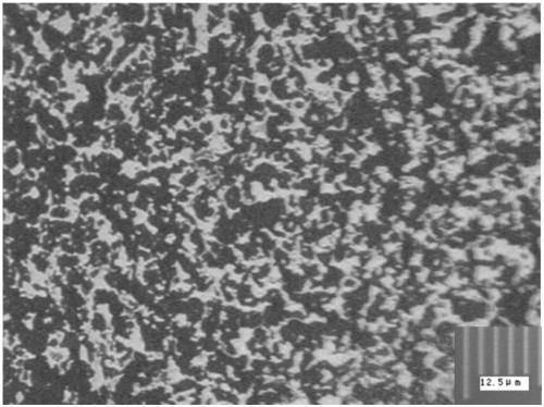 Method for preparing high-strength boron carbide porous ceramics