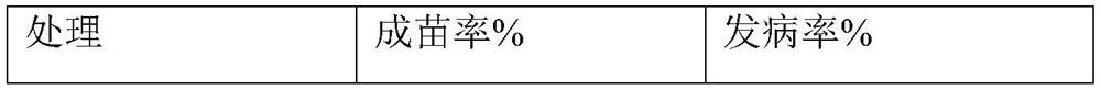 A biological seedling strengthening agent for enhancing stress resistance of rice and preparation method thereof