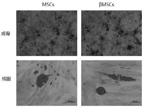 A preparation method of exosomes and exosomes and its application in the preparation of drugs or preparations for treating sepsis