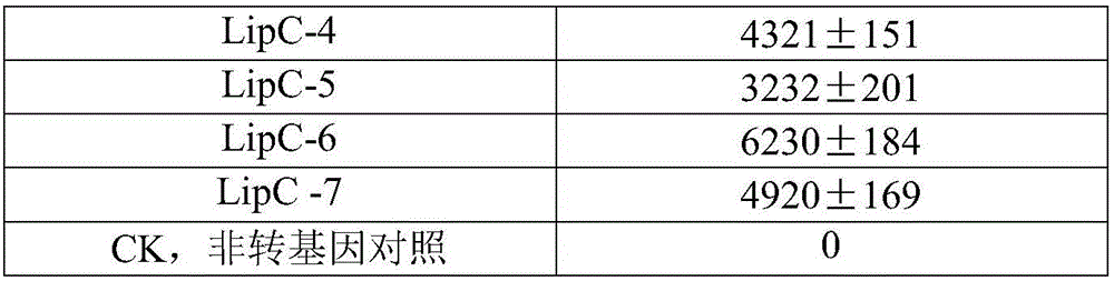 Lipase immobilization method