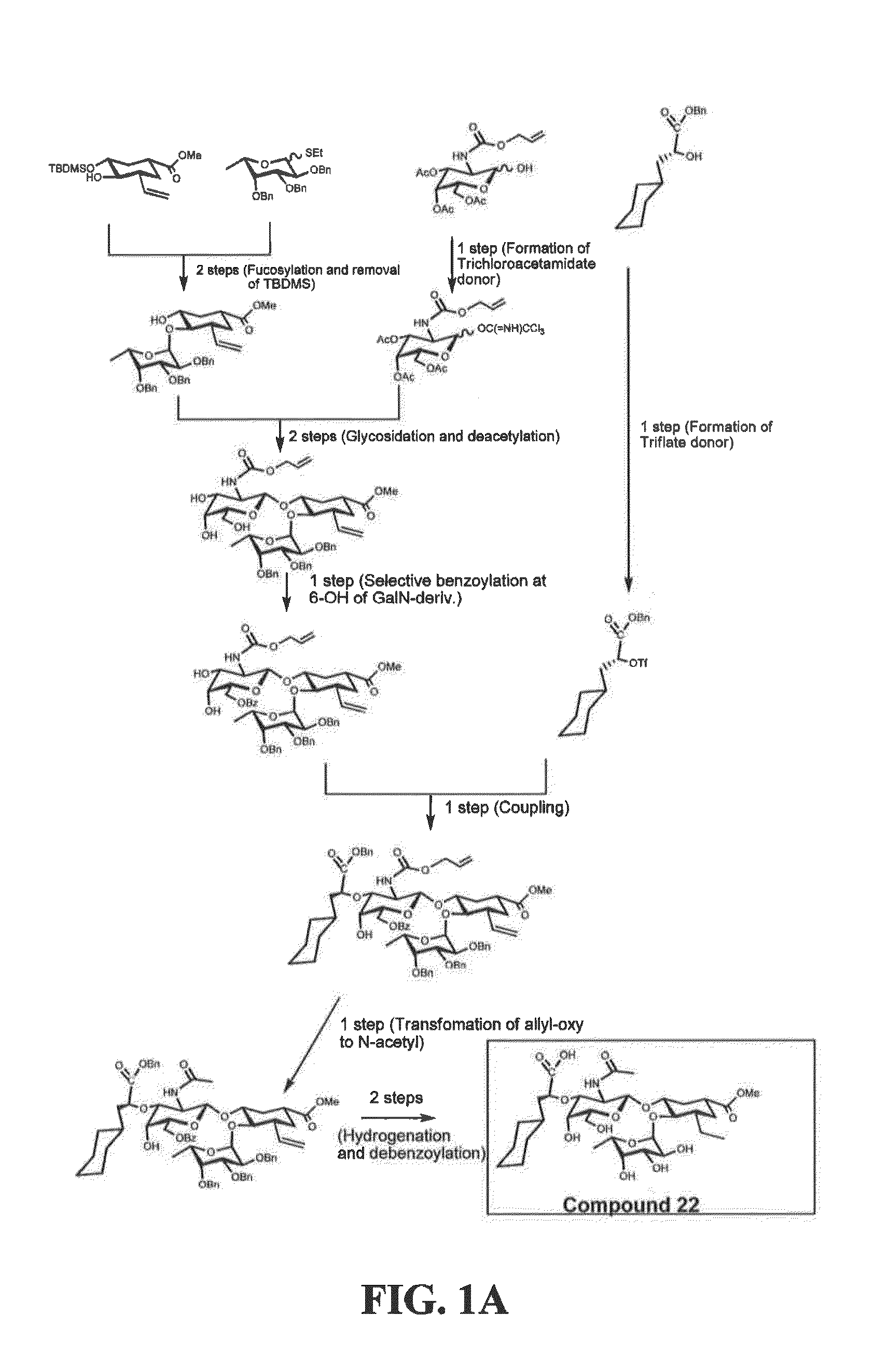 E-selectin antagonist compounds, compositions, and methods of use