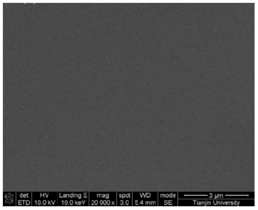 Co with both primary amine and carbonate groups  <sub>2</sub> Separation membrane and its preparation method