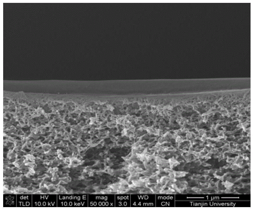 Co with both primary amine and carbonate groups  <sub>2</sub> Separation membrane and its preparation method