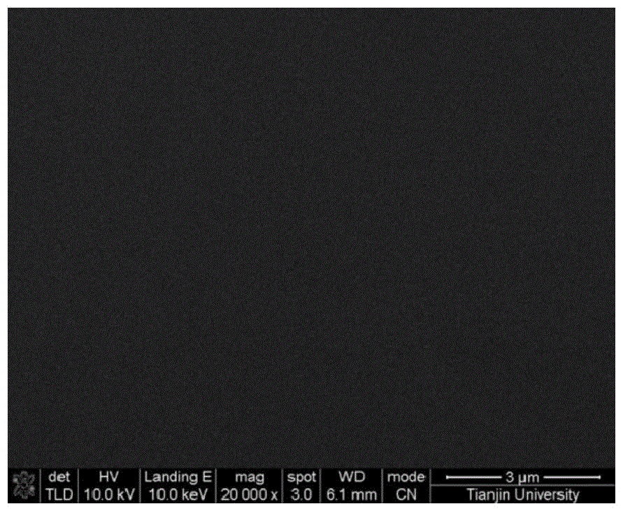 Co with both primary amine and carbonate groups  <sub>2</sub> Separation membrane and its preparation method