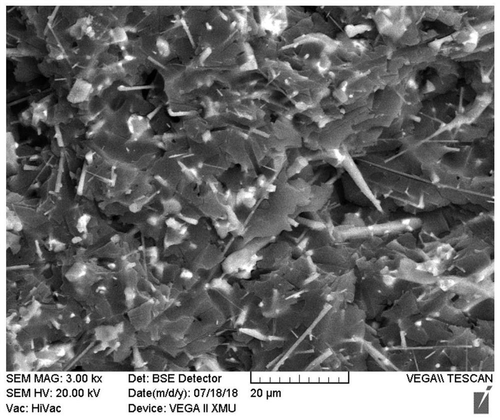 A kind of preparation method of nano silicon nitride fiber/epoxy resin composite material