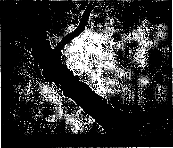 A carbon nanometer tube based lightweight magnetic composite particle for magnetic rheological fluid and method for preparing same