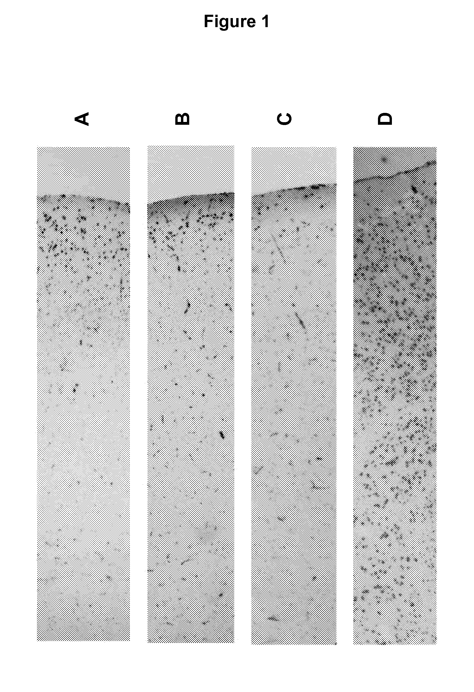 Stabilization method for biological samples by combination of heating and chemical fixation